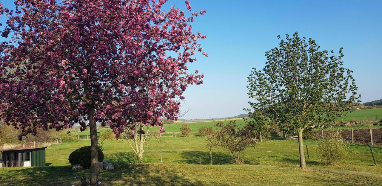 Ferienwohnung Hof Konietzke Thale Buitenkant foto
